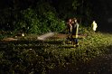 Sturm Radfahrer vom Baum erschlagen Koeln Flittard Duesseldorferstr P71